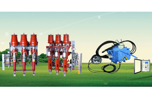 關(guān)于高壓負(fù)荷開關(guān)前面雷爾沃電器已經(jīng)為大家整理了不少知識，不知道你對柱上負(fù)荷開關(guān)有了解沒？如今在市場上比較常見的柱上負(fù)荷開關(guān)主要是壓氣式負(fù)荷開關(guān)以及真空負(fù)荷開關(guān)，我們分別來為大家做一個比較簡單的講解。
